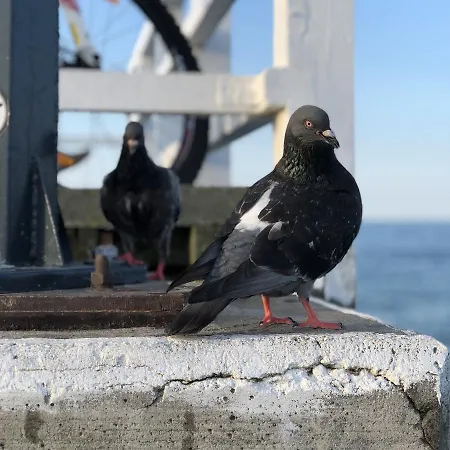 Apartamento Fisherman's Surfhouse Gdansk